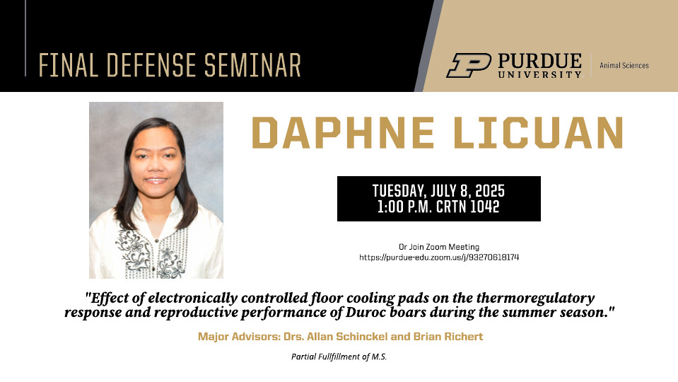 Flyer for Daphne Licuan’s Final Defense Seminar at Purdue University, Department of Animal Sciences. A professional headshot of Daphne is shown on the left. The seminar title is: “Effect of electronically controlled floor cooling pads on the thermoregulatory response and reproductive performance of Duroc boars during the summer season.” The seminar will take place on Tuesday, July 8, 2025, at 1:00 P.M. in CRTN 1042. A Zoom meeting link is also provided. Daphne’s major advisors are Drs. Allan Schinckel and Brian Richert. The defense is in partial fulfillment of her M.S. degree. The flyer features Purdue branding at the top.