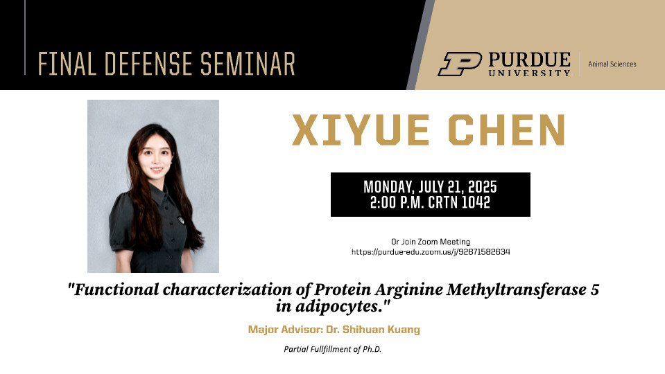 Flyer for Xiyue Chen’s Final Defense Seminar at Purdue University, Department of Animal Sciences. A professional headshot of Xiyue is shown on the left. The seminar is titled “Functional characterization of Protein Arginine Methyltransferase 5 in adipocytes.” It is scheduled for Monday, July 21, 2025, at 2:00 P.M. in CRTN 1042. A Zoom meeting link is included. Her major advisor is Dr. Shihuan Kuang. The seminar is in partial fulfillment of her Ph.D. degree. The flyer includes Purdue University branding and Animal Sciences affiliation at the top.