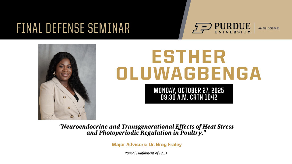 Final Defense Seminar flyer for Esther Oluwagbenga. Includes a professional headshot of Esther wearing a beige blazer and smiling. The seminar is titled “Neuroendocrine and Transgenerational Effects of Heat Stress and Photoperiodic Regulation in Poultry.” Event details: Monday, October 27, 2025, at 9:30 a.m. in CRTN 1042. Major advisor: Dr. Greg Fraley. Purdue University Animal Sciences branding appears at the top.