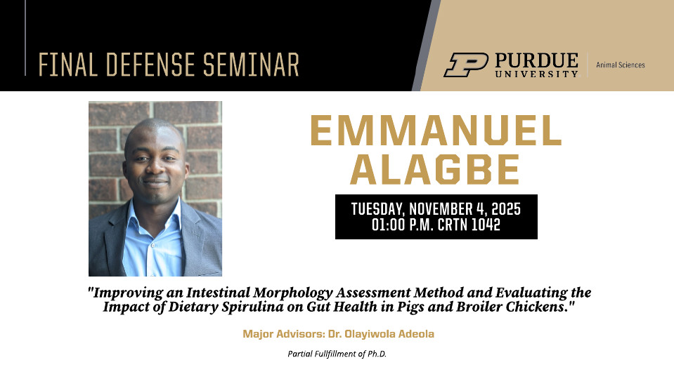 Final Defense Seminar flyer for Emmanuel Alagbe. Includes a professional headshot of Emmanuel wearing a gray blazer and smiling. The seminar is titled “Improving an Intestinal Morphology Assessment Method and Evaluating the Impact of Dietary Spirulina on Gut Health in Pigs and Boiler Chickens.” Event details: Tuesday, November 4, 2025, at 1:00 p.m. in CRTN 1042. Major advisor: Dr. Olayiwola Adeola. Purdue University Animal Sciences branding appears at the top.