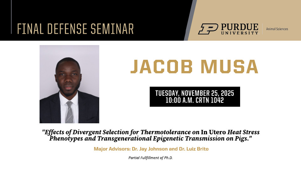 Final Defense Seminar flyer for Jacob Musa. Includes a professional headshot of Jacob Musa wearing a suit and tie. The seminar is titled “Effects of Divergent Selection for Thermotolerance on In Utero Heat Stress Phenotypes and Transgenerational Epigenetic Transmission on Pigs.” Event details: Tuesday, November 25, 2025, at 10:00 a.m. in CRTN 1042. Major advisors: Dr. Jay Johnson and Dr. Luiz Brito. Purdue University Animal Sciences branding appears at the top.