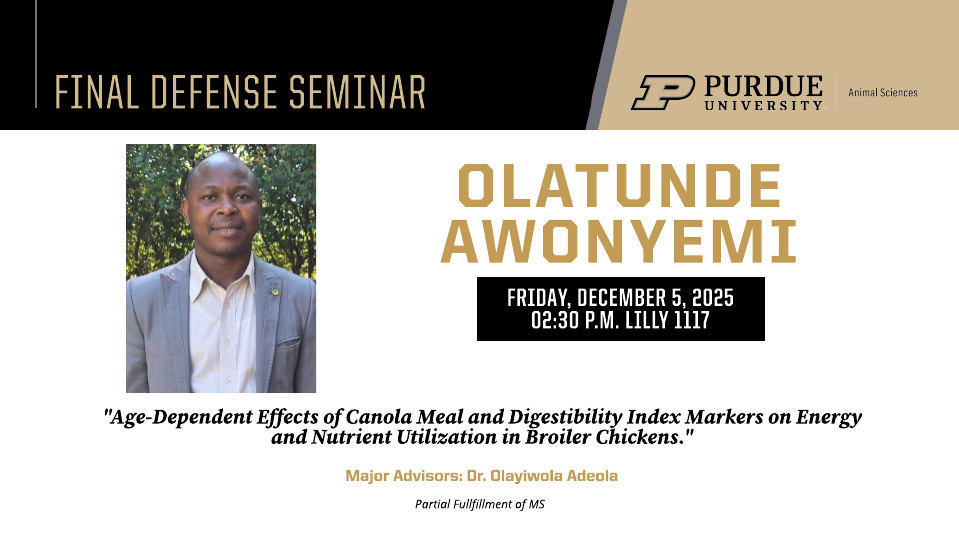 A flyer for a Final Defense Seminar at Purdue University, Department of Animal Sciences. The flyer features a professional headshot of Olatunde Awonyemi wearing a grey suit and white shirt. The seminar title is “Age-Dependent Effects of Canola Meal and Digestibility Index Markers on Energy and Nutrient Utilization in Broiler Chickens.” The event is scheduled for Friday, December 5, 2025, at 2:30 P.M. in Lilly 1117. Olatunde’s major advisor is Dr. Olayiwola Adeola. The seminar is in partial fulfillment of a Master of Science (MS) degree. The flyer includes the Purdue University logo and branding.