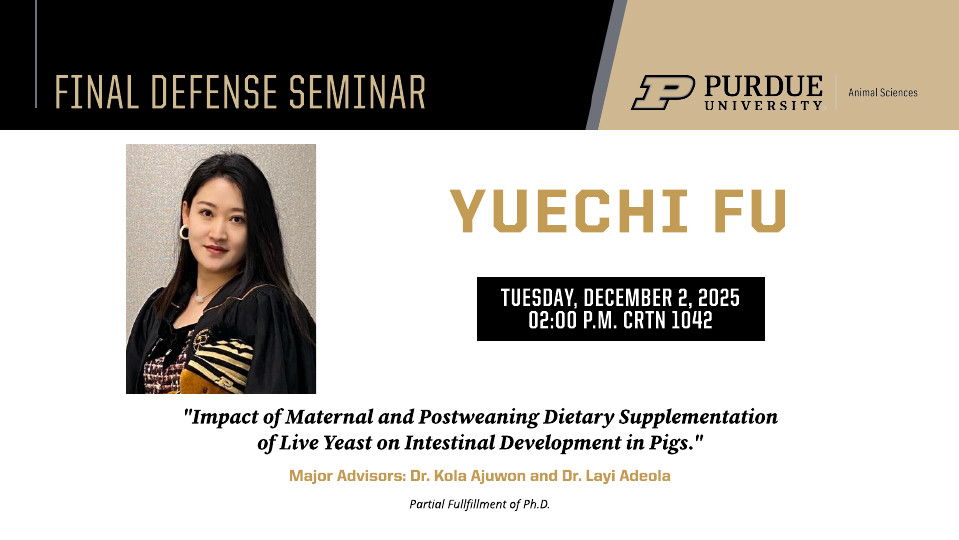 Flyer announcing Yuechi Fu's Final Defense Seminar at Purdue University, Department of Animal Sciences. The seminar is titled 'Impact of Maternal and Postweaning Dietary Supplementation of Live Yeast on Intestinal Development in Pigs.' It will be held on Tuesday, December 2, 2025, at 2:00 PM in CRTN 1042. Major advisor: Dr. Kola Ajuwon. Includes a photo of Yuechi Fu on the left side and Purdue University branding at the top right.