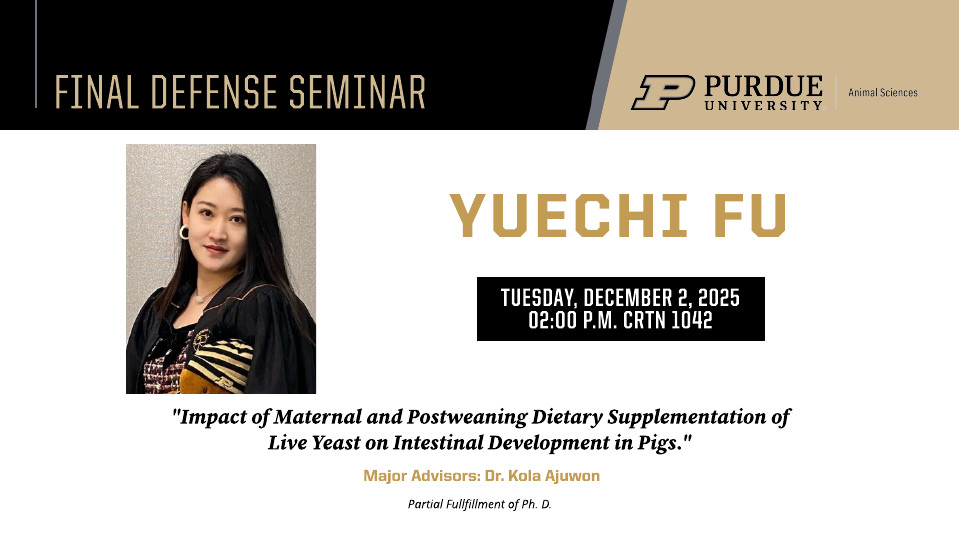Flyer announcing Yuechi Fu's Final Defense Seminar at Purdue University, Department of Animal Sciences. The seminar is titled 'Impact of Maternal and Postweaning Dietary Supplementation of Live Yeast on Intestinal Development in Pigs.' It will be held on Tuesday, December 2, 2025, at 2:00 PM in CRTN 1042. Major advisor: Dr. Kola Ajuwon. Includes a photo of Yuechi Fu on the left side and Purdue University branding at the top right.