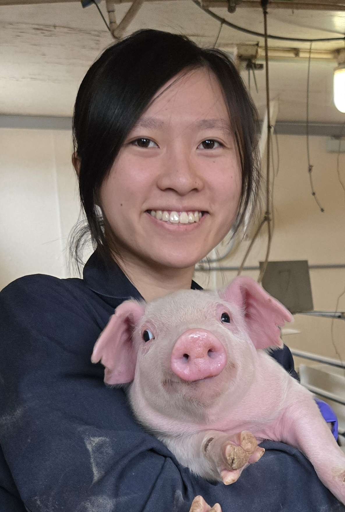 Vanessa Ng holds a pig.