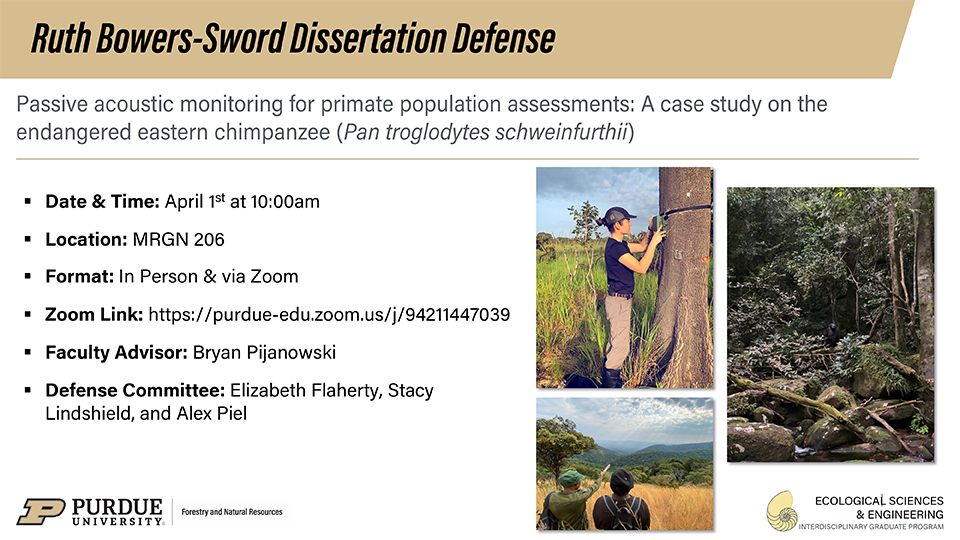 Ruth Bowers-Sword dissertation defense flyer