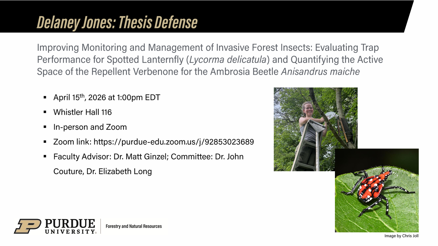 Delaney Jones Thesis Defense flyer.