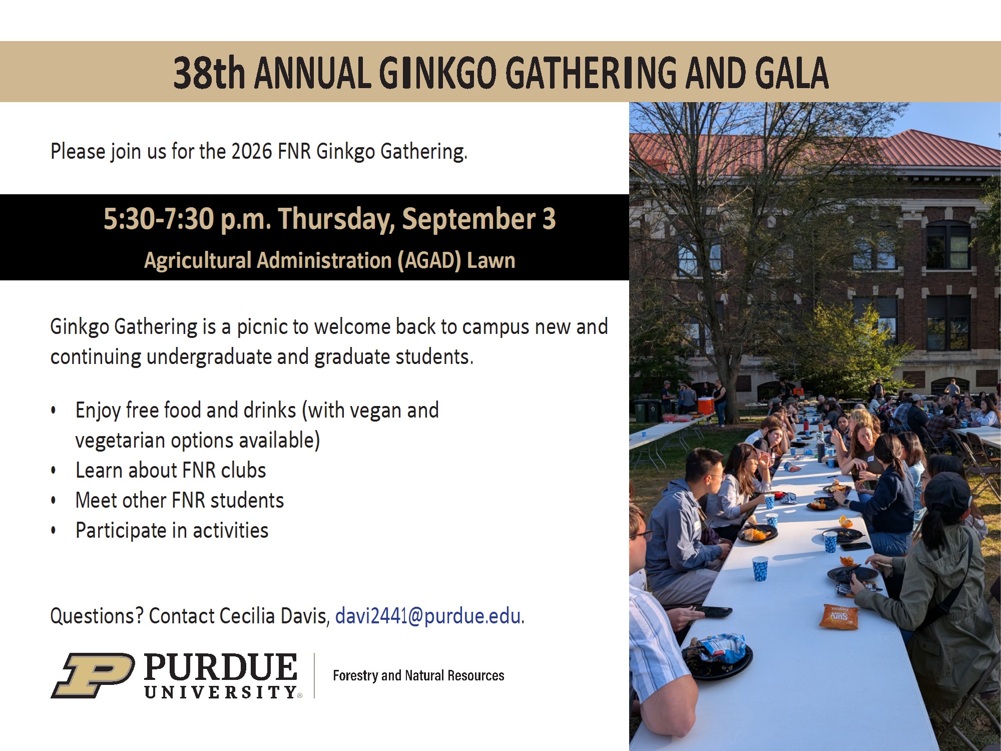Ginkgo Gathering