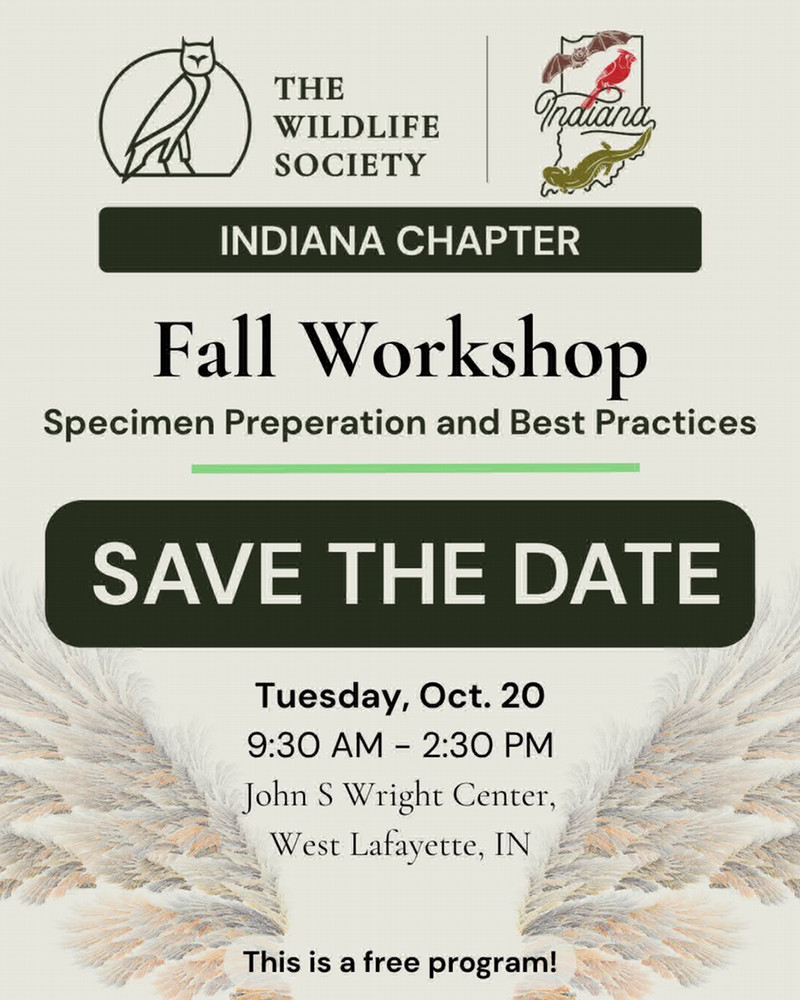 TWS Workshop