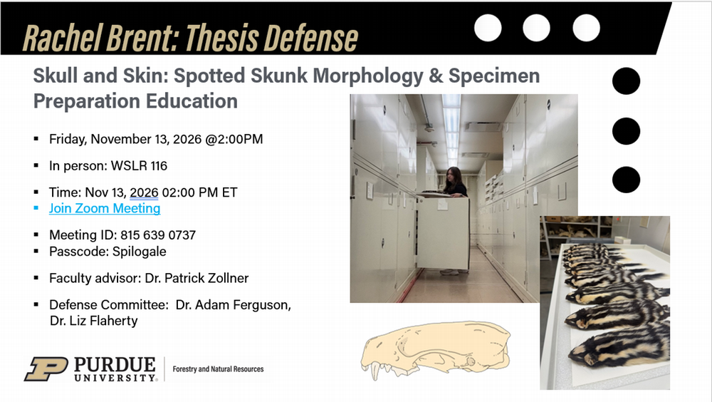 Rachel Brent thesis defense poster; see event post for more details.