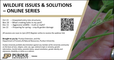 Advertisement image with the program title, schedule, sponsors, EEO statement and a QR code for registration followed by an image of a damaged plant.