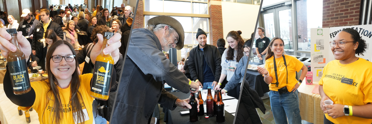 Fermentation Frenzy Banner