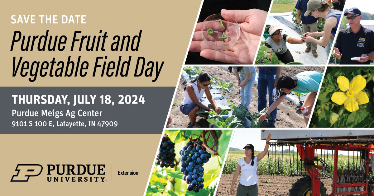 Save the Date Flyer for the 2024 Purdue Fruit and Vegetable Field Day at Meigs