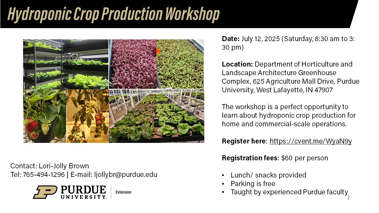 workshop flyer
