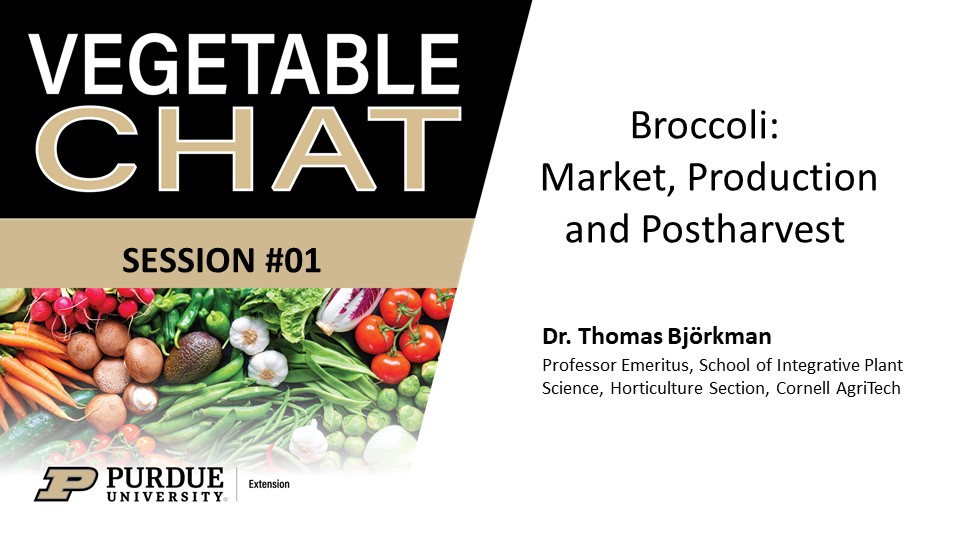 Flyer for Vegetable Chat webinar