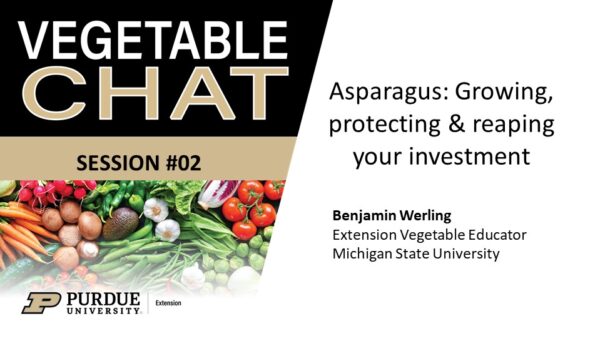 Flyer for Vegetable Chat Webinar Series Episode 2: Asparagus