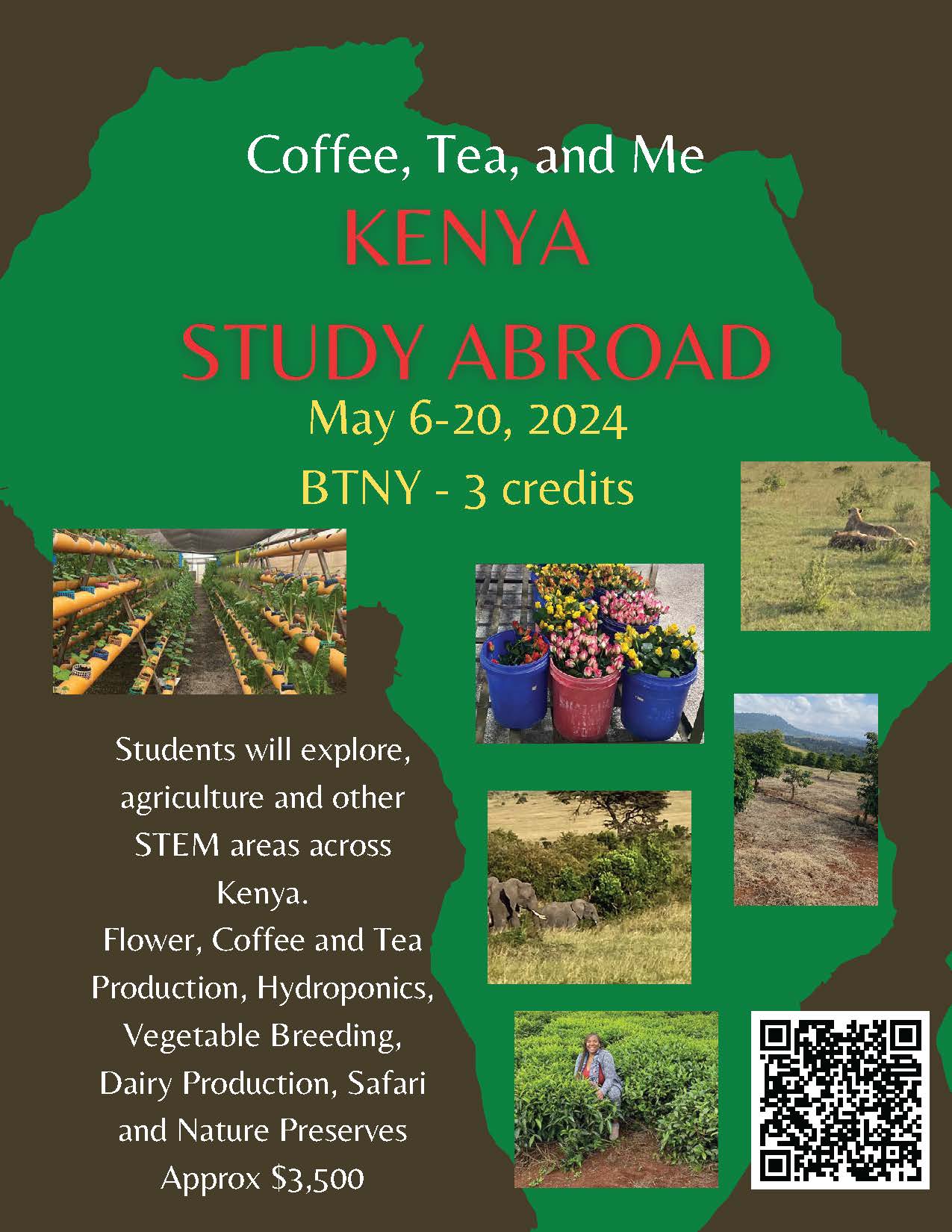 KENYA-STUDY-ABROAD-_Continent-Flyer-reduced.jpg