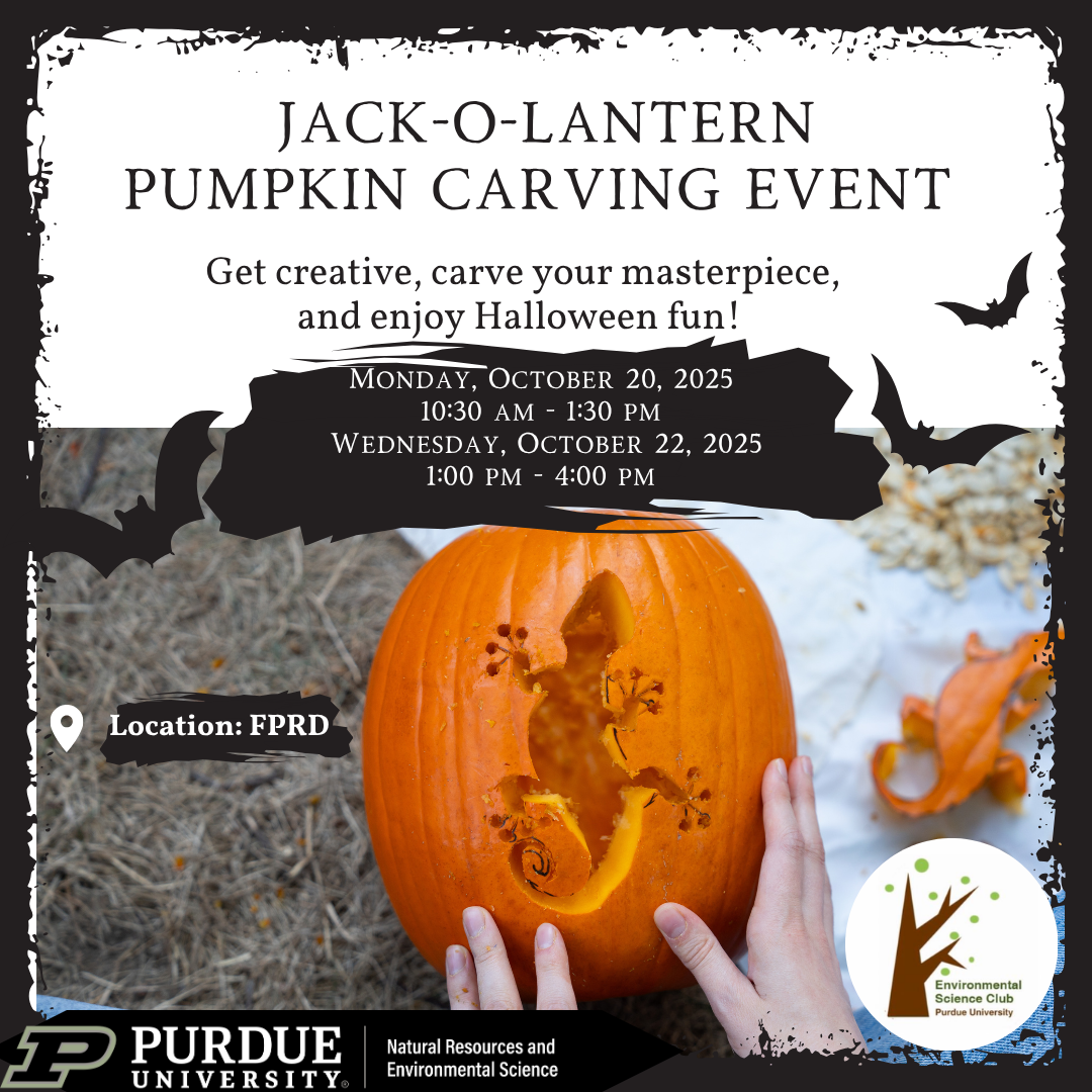 Jack-O-Lantern Pumpkin Carving Event 