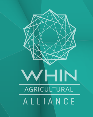 WHIN Logo 