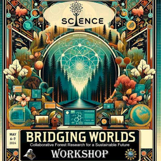 Science-i Bridging Worlds Flyer