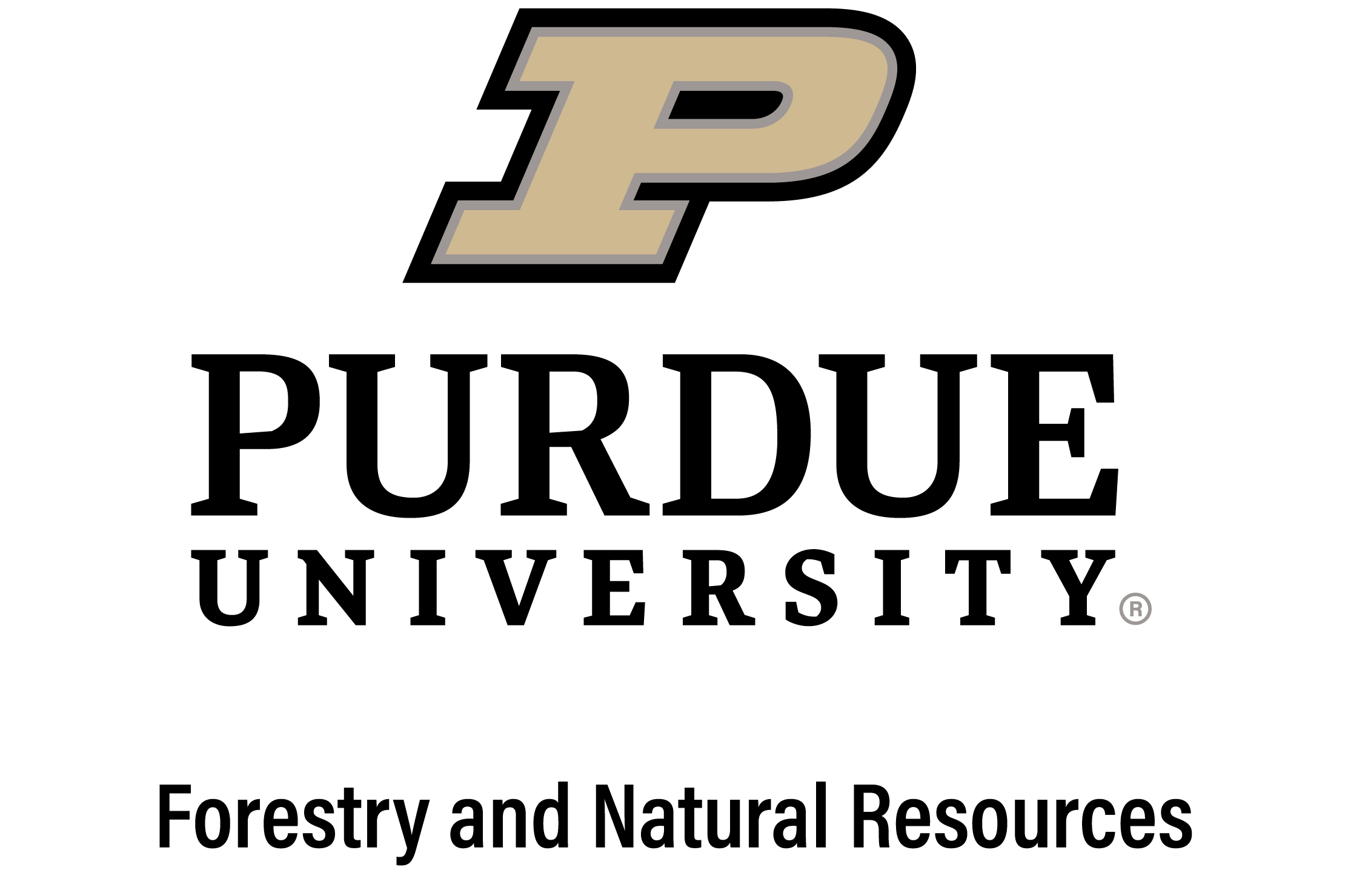 FNR logo