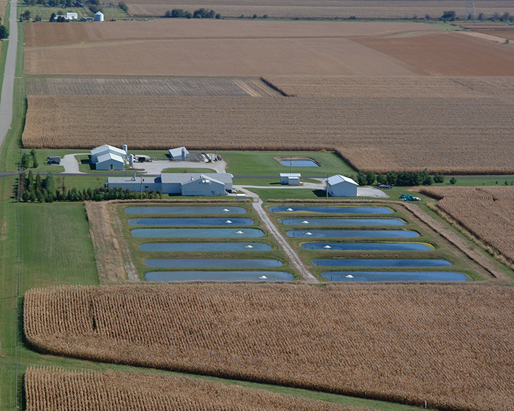 Aquaculture Research Lab aerial view.