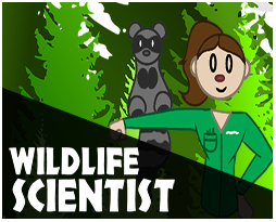 Wildlife scientist