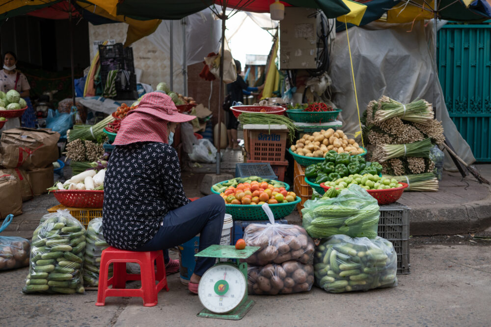 Image for Bacterial contamination in fresh vegetables: Focusing interventions in Cambodia