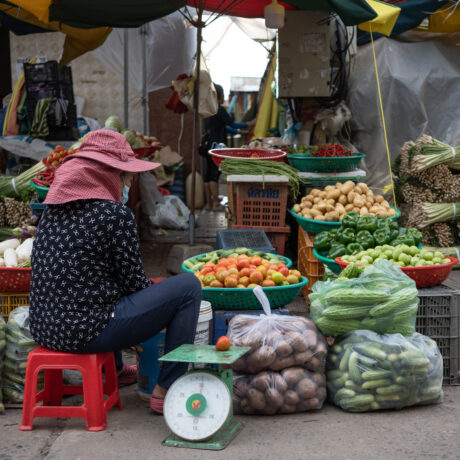 Image for Bacterial contamination in fresh vegetables: Focusing interventions in Cambodia