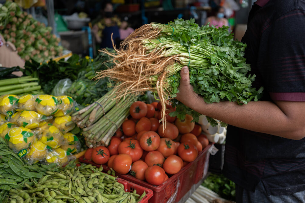 Image for Cambodia: Food Safety Across the Vegetable Value Chain