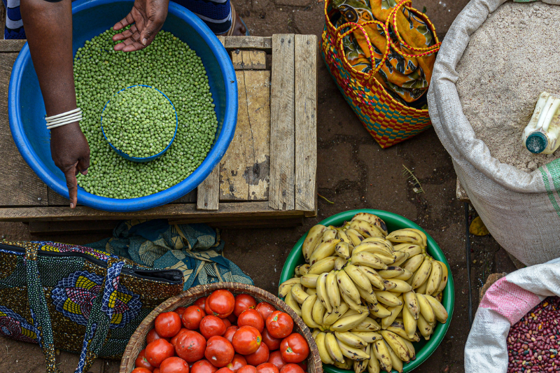 Food Safety Investments in East Africa: Analysis and Recommendations ...
