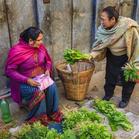 Image for Market-led food safety in Nepal: Harnessing production incentives and consumer awareness