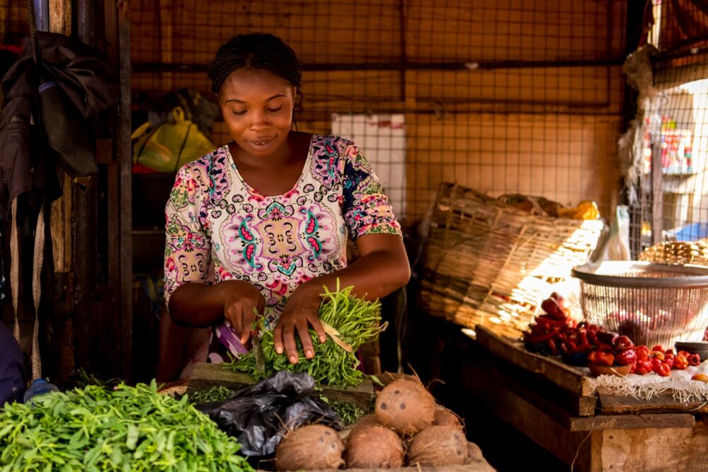 Image for Strengthening household and community food safety in Nigeria