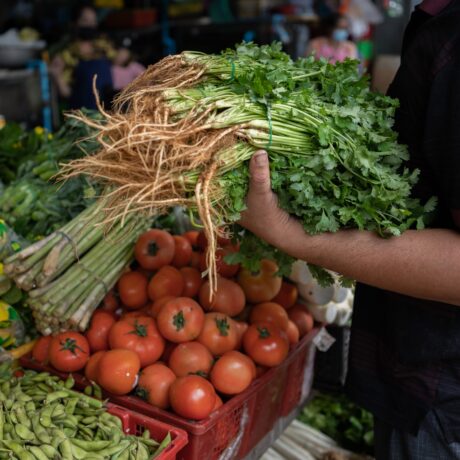 Cambodia: Food Safety Across the Vegetable Value Chain