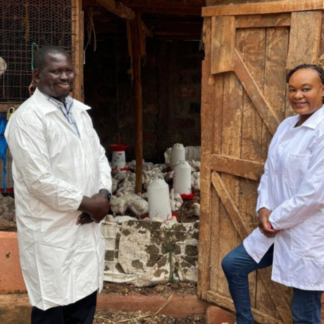 Image for Kenya: Microbial Food Safety in the Poultry Value Chain