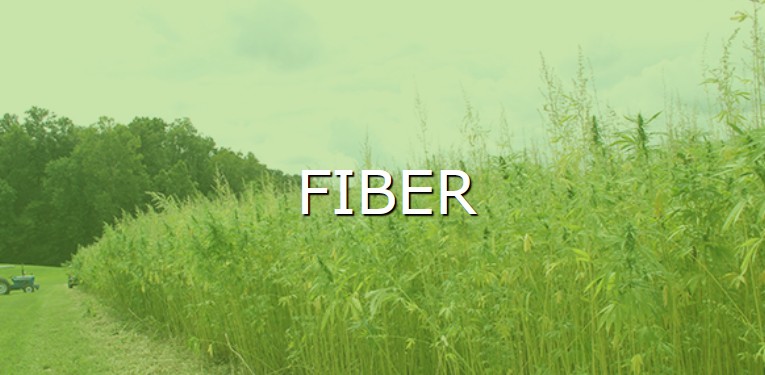 learn more about processing Fiber hemp button