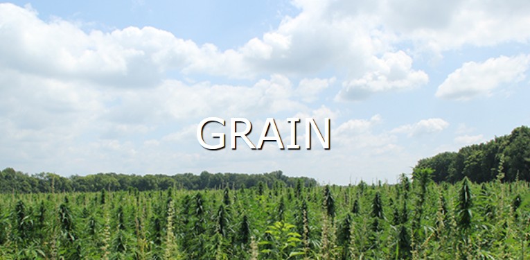 learn more about processing Grain hemp button