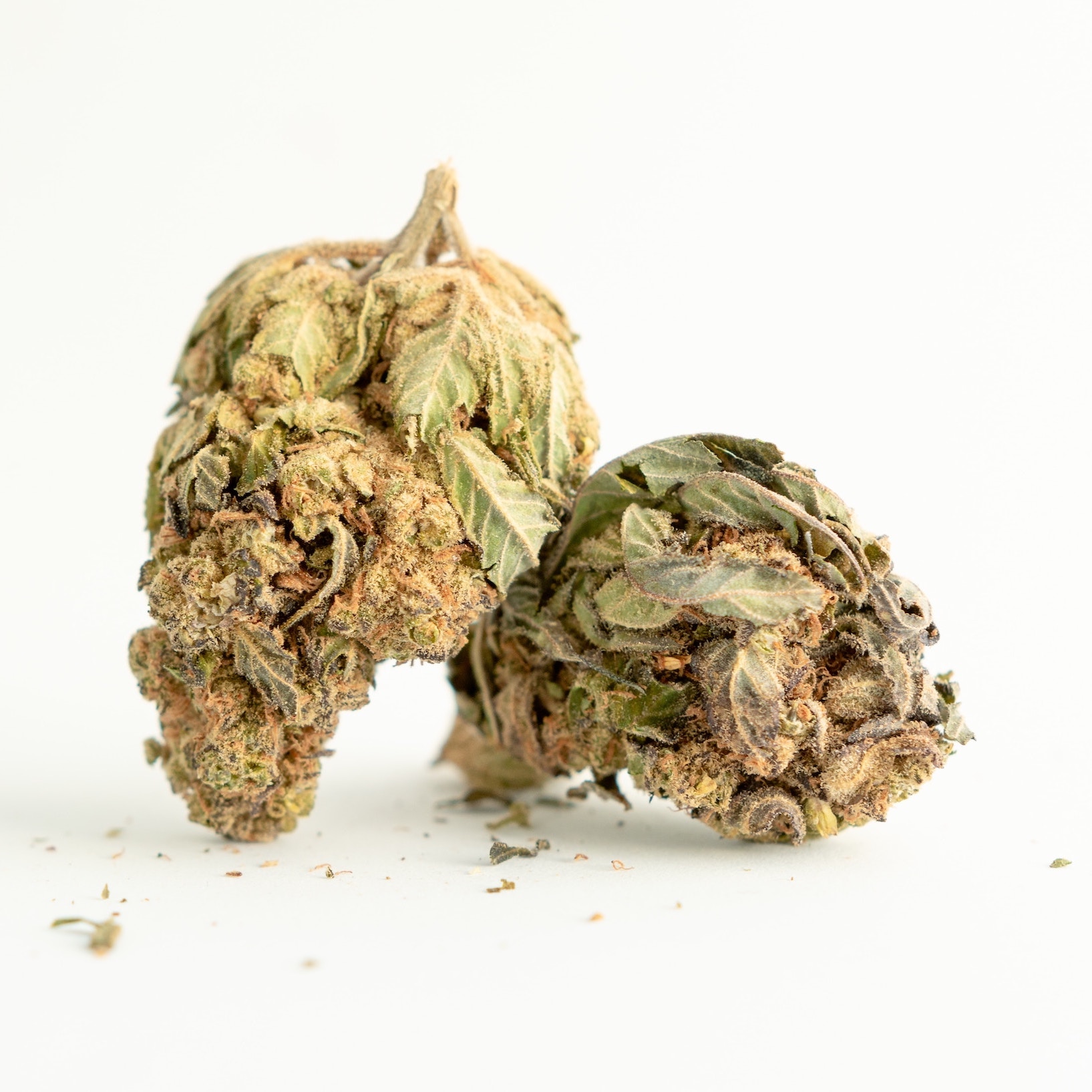 A dried hemp bud from a hemp plant grown for cannabinoids. 