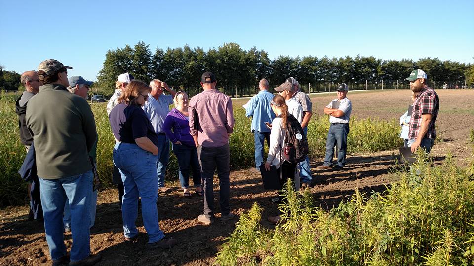 students farmers interact with hemp plants at field day