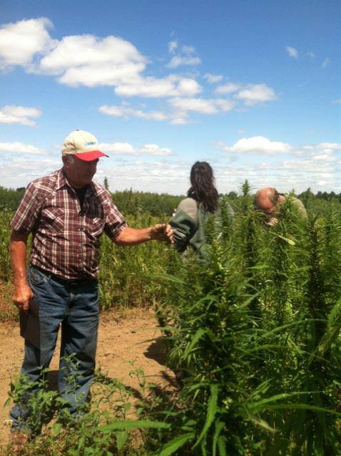 students farmers interact with hemp plants at field day
