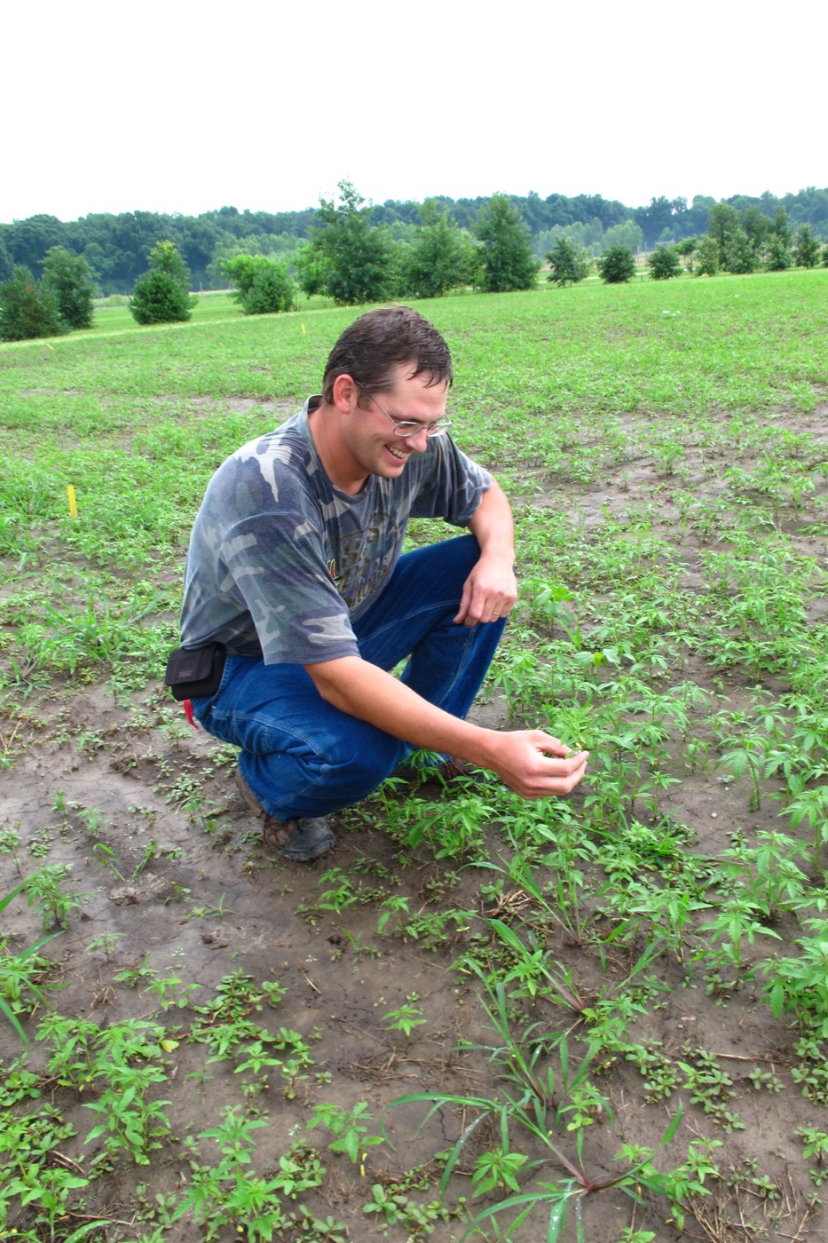 Purdue researcher checking plant growth