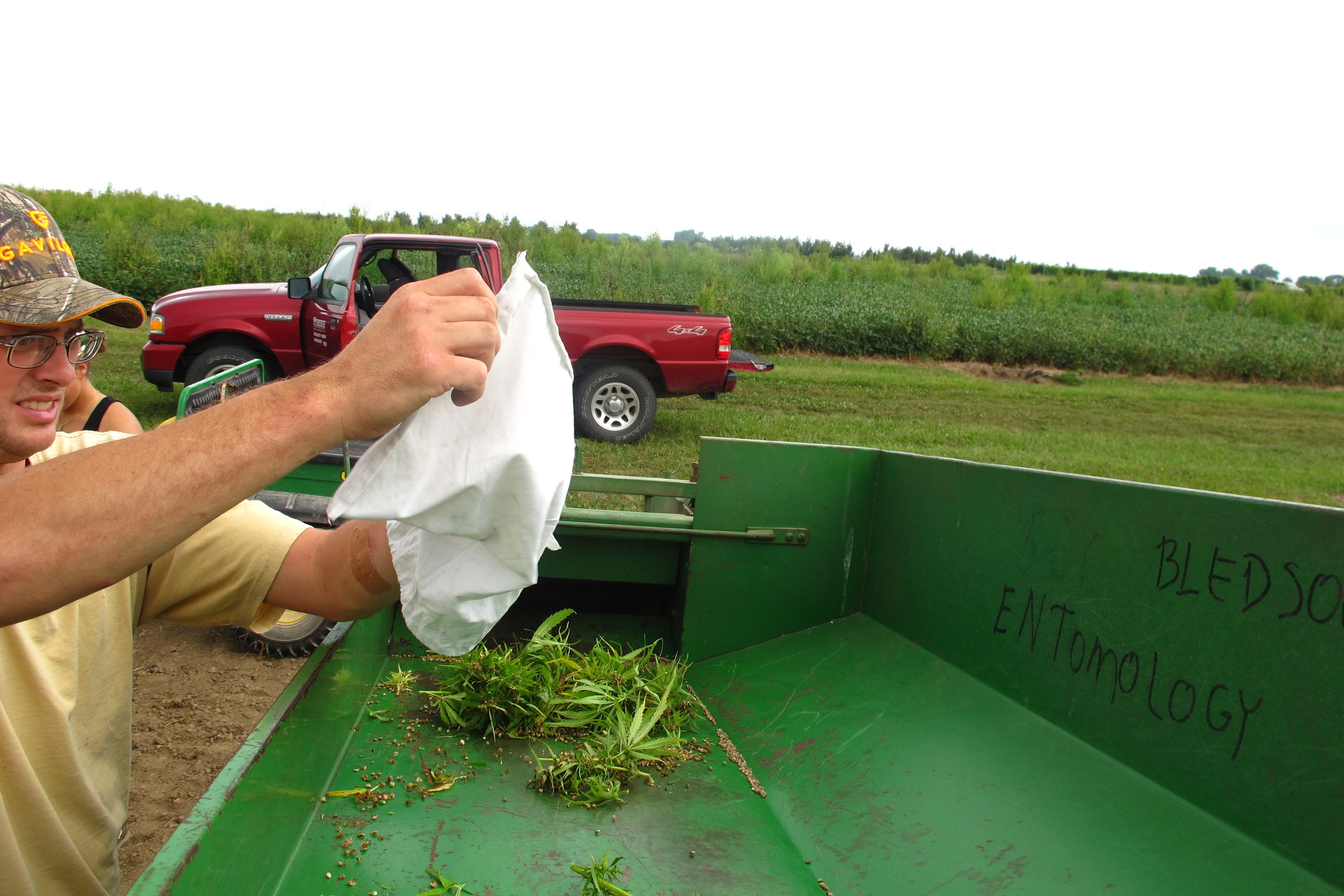 Purdue researchers empty a bag of hemp into equipment