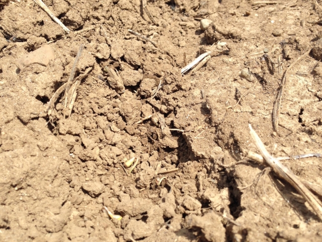 Image of dry soil 