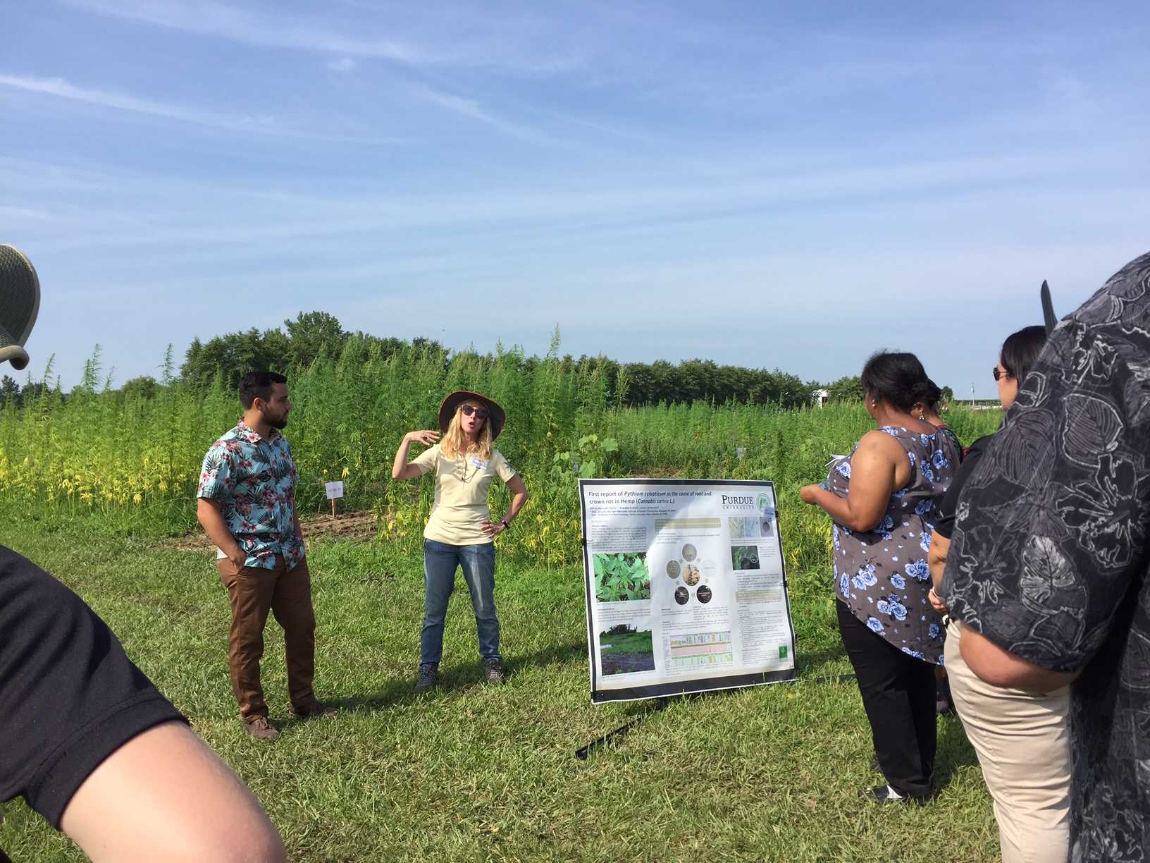 Image of a student and professor in a hemp field giving a presentation