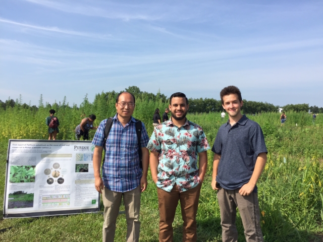 Image of three men on a hemp field (poster in the back)