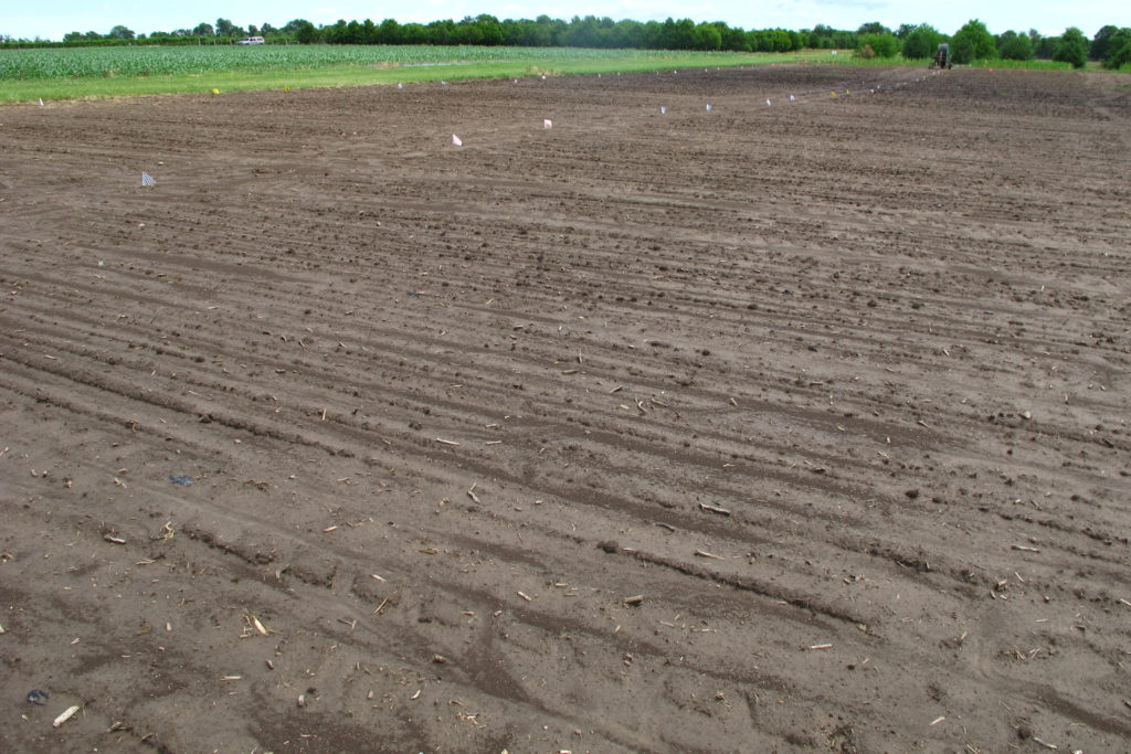 Image of soil ready for hemp planting. Soil is very dark and saturated with water. 
