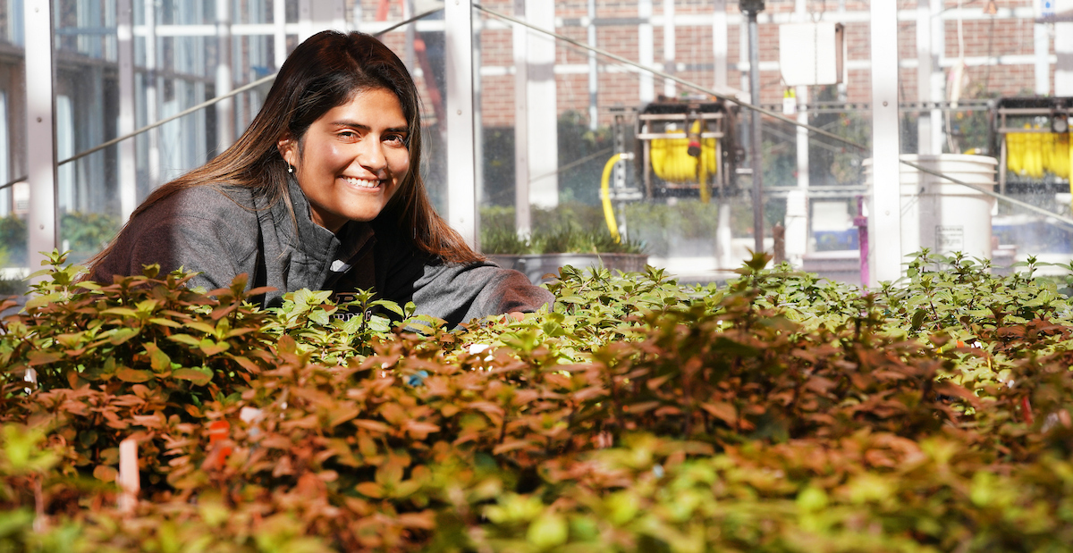 Student with her research in the greenhouse