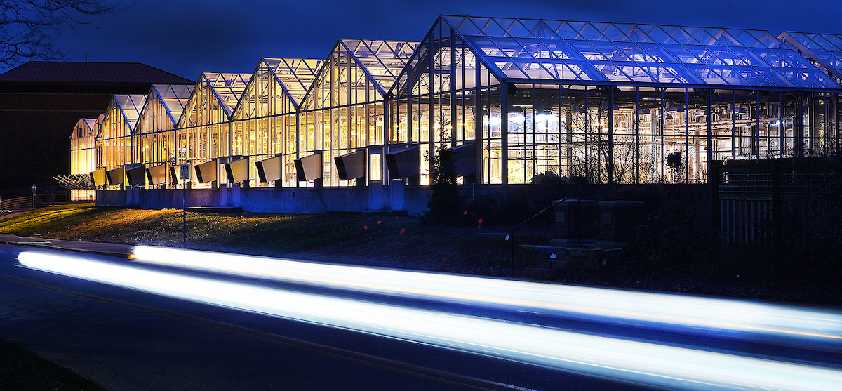 Greenhouse at night