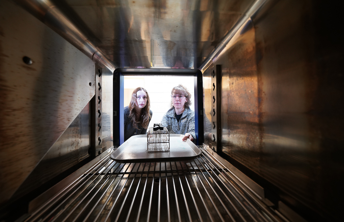 Student and staff member looks on at research in growth chamber