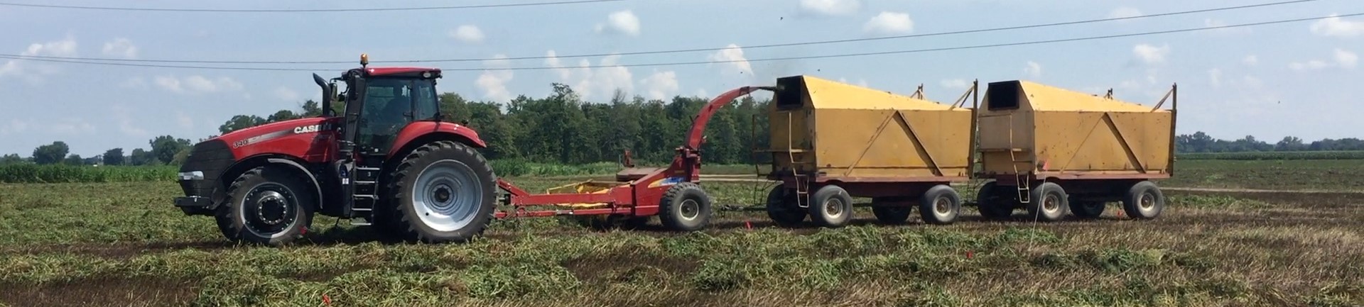 Tractor pulling two trailers harvesting mint.